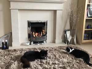 October 2018 Income & Profit Report, two of our cats enjoying the fire