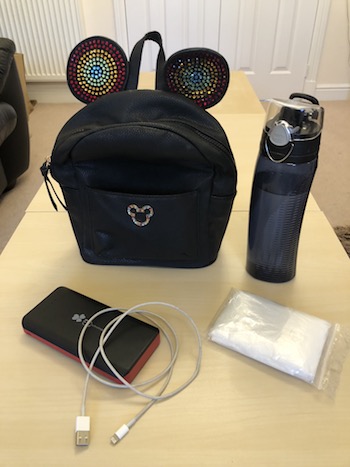 What to pack to get the most from Disneyland Paris, lanyard with magicpass and fastpass ticket in it