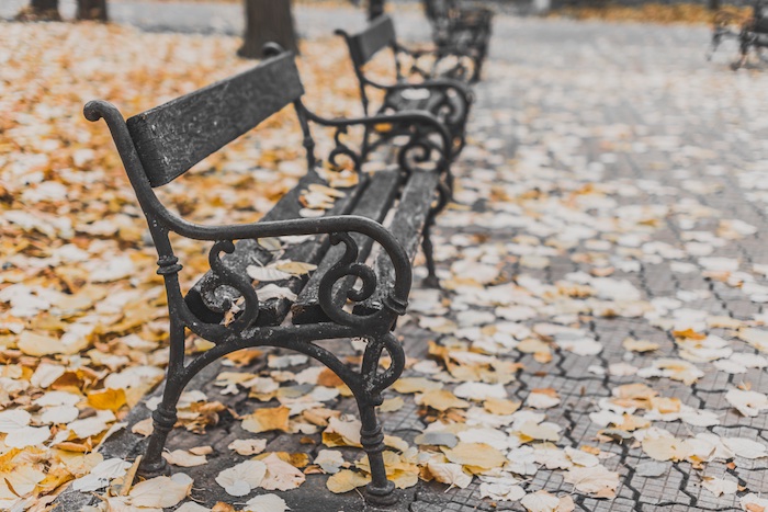 My Autumn Bucket List To Welcome In The New Season, park bench surrounded by leaves